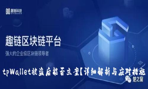 tpWallet被盗后能否立案？详细解析与应对措施