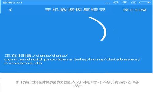 
tpWallet打开薄饼空白问题解决指南
