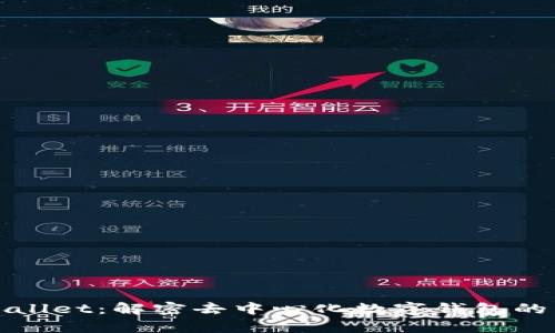 tpWallet：解密去中心化数字钱包的未来
