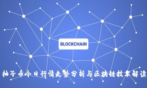 柚子币今日行情走势分析与区块链技术解读