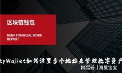 tpWallet如何设置多个地址来