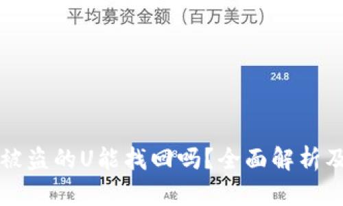 tpWallet被盗的U能找回吗？全面解析及解决方案