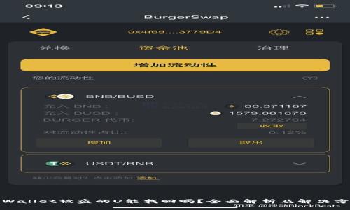 tpWallet被盗的U能找回吗？全面解析及解决方案