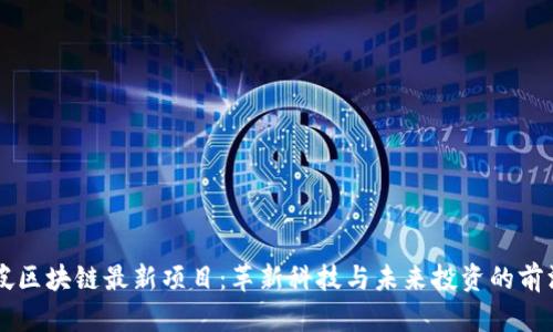 新加坡区块链最新项目：革新科技与未来投资的前沿探索