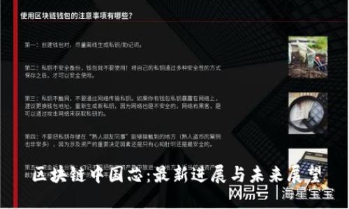区块链中国芯：最新进展与未来展望