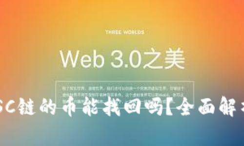 tpWallet BSC链的币能找回吗？全面解析与解决方案