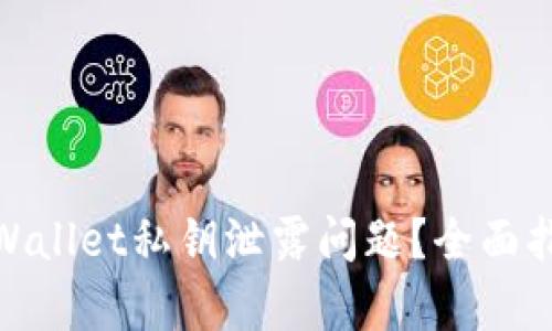 : 如何处理tpWallet私钥泄露问题？全面指南及解决方案