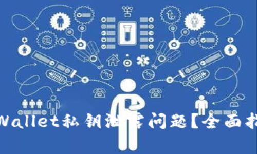 : 如何处理tpWallet私钥泄露问题？全面指南及解决方案