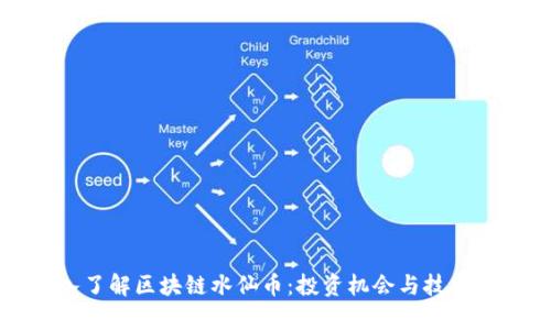 深入了解区块链水仙币：投资机会与技术解析