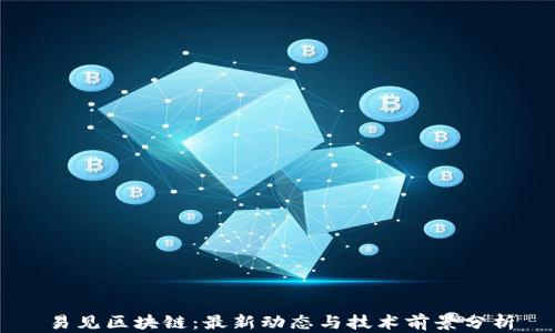 
易见区块链：最新动态与技术前景分析