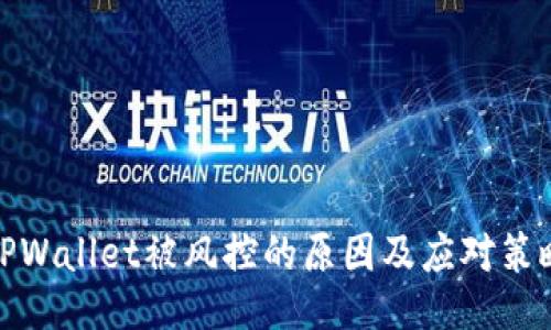 TPWallet被风控的原因及应对策略