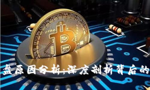 区块链币崩盘原因分析：深度剖析背后的机制与风险