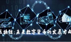 RCC菠萝币区块链：未来数