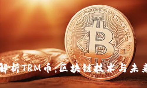 全面解析TRM币：区块链技术与未来展望