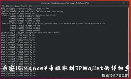 如何将币安（Binance）币提取到TPWallet的详细步骤指南