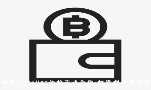 全面解析tpWallet的柚子币合约：投资指南与使用技巧