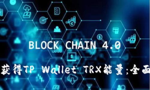 如何获得TP Wallet TRX能量：全面指南
