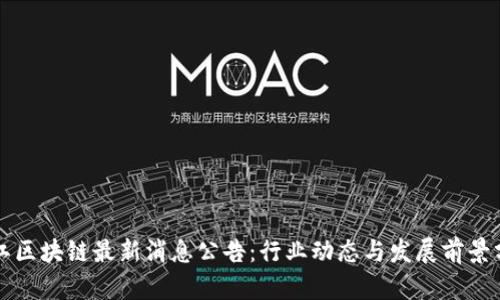 坪江区块链最新消息公告：行业动态与发展前景分析