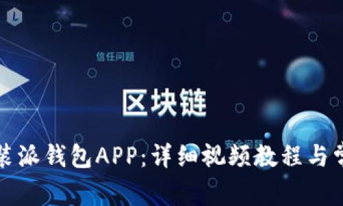 如何下载安装派钱包APP：详细视频教程与常见问题解析