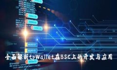 全面解析tpWallet在BSC上的开