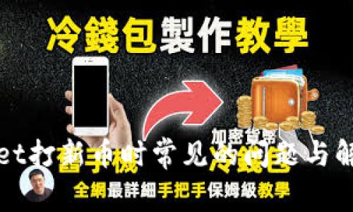 TPWallet打新币时常见的问题与解决方案