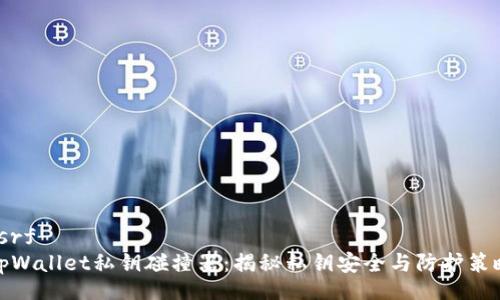 csrf
tpWallet私钥碰撞器：揭秘私钥安全与防护策略