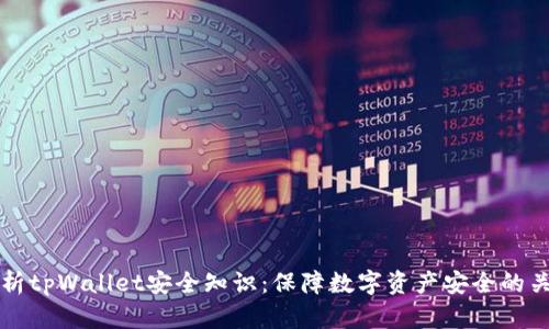 全面解析tpWallet安全知识：保障数字资产安全的关键要素