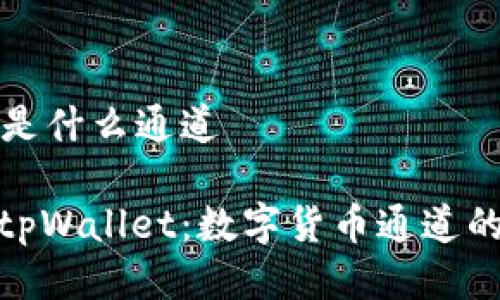 tpWallet是什么通道

全面解析tpWallet：数字货币通道的创新选择