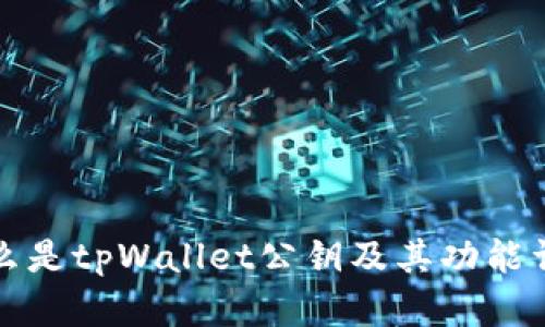 什么是tpWallet公钥及其功能详解