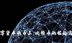 区块链数字货币的币王：