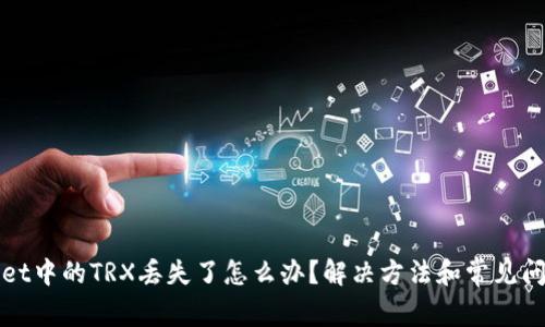 tpWallet中的TRX丢失了怎么办？解决方法和常见问题解析