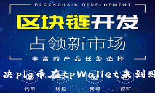 : 如何解决pig币在tpWallet未到账的问题？