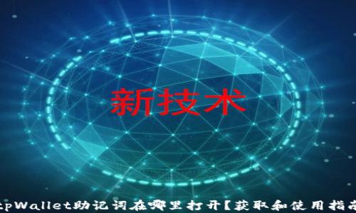 
tpWallet助记词在哪里打开？获取和使用指南