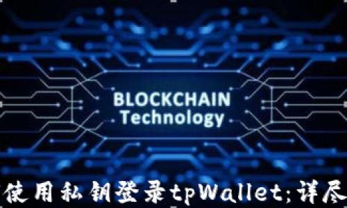 
如何使用私钥登录tpWallet：详尽指南