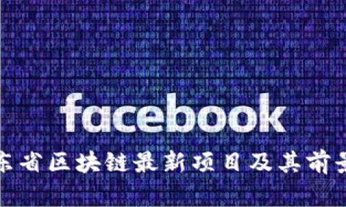 : 山东省区块链最新项目及其前景分析