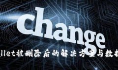 使用tpWallet被删除后的解决方案与数据恢复指南