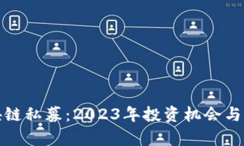 最新区块链私募：2023年投资机会与风险解析