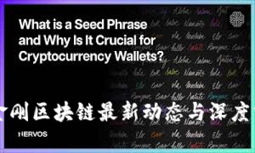 范金刚区块链最新动态与深度分析