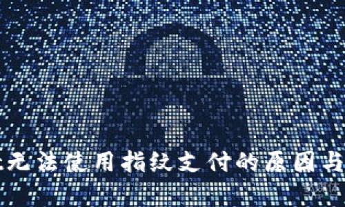 tpWallet无法使用指纹支付的原因与解决方法