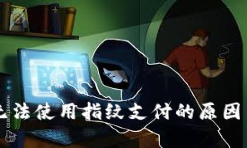 tpWallet无法使用指纹支付的原因与解决方法