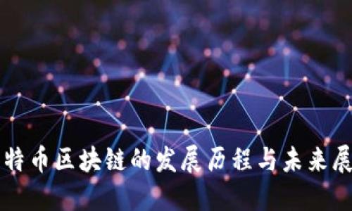 比特币区块链的发展历程与未来展望