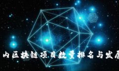 2023年国内区块链项目数量