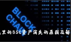 TP钱包里的BSC资产消失的原