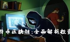 孙洪鹤与比特币区块链：