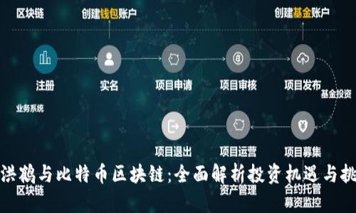 孙洪鹤与比特币区块链：全面解析投资机遇与挑战