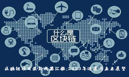 区块链项目最新成果汇报：2023年进展与未来展望
