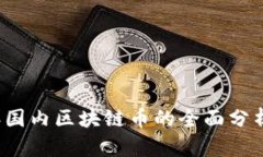 2023年国内区块链币的全面