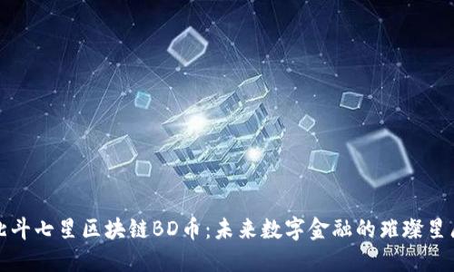 北斗七星区块链BD币：未来数字金融的璀璨星辰