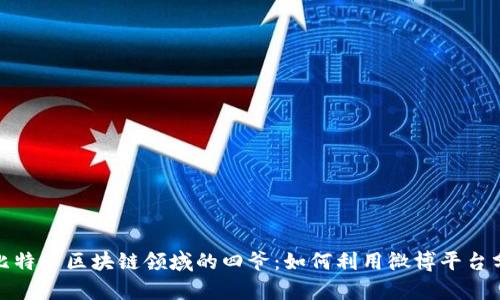 : 深入探讨比特币区块链领域的四爷：如何利用微博平台分析市场动态