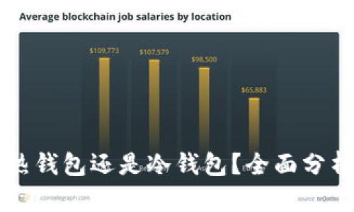 tpWallet是热钱包还是冷钱包？全面分析及选择指南